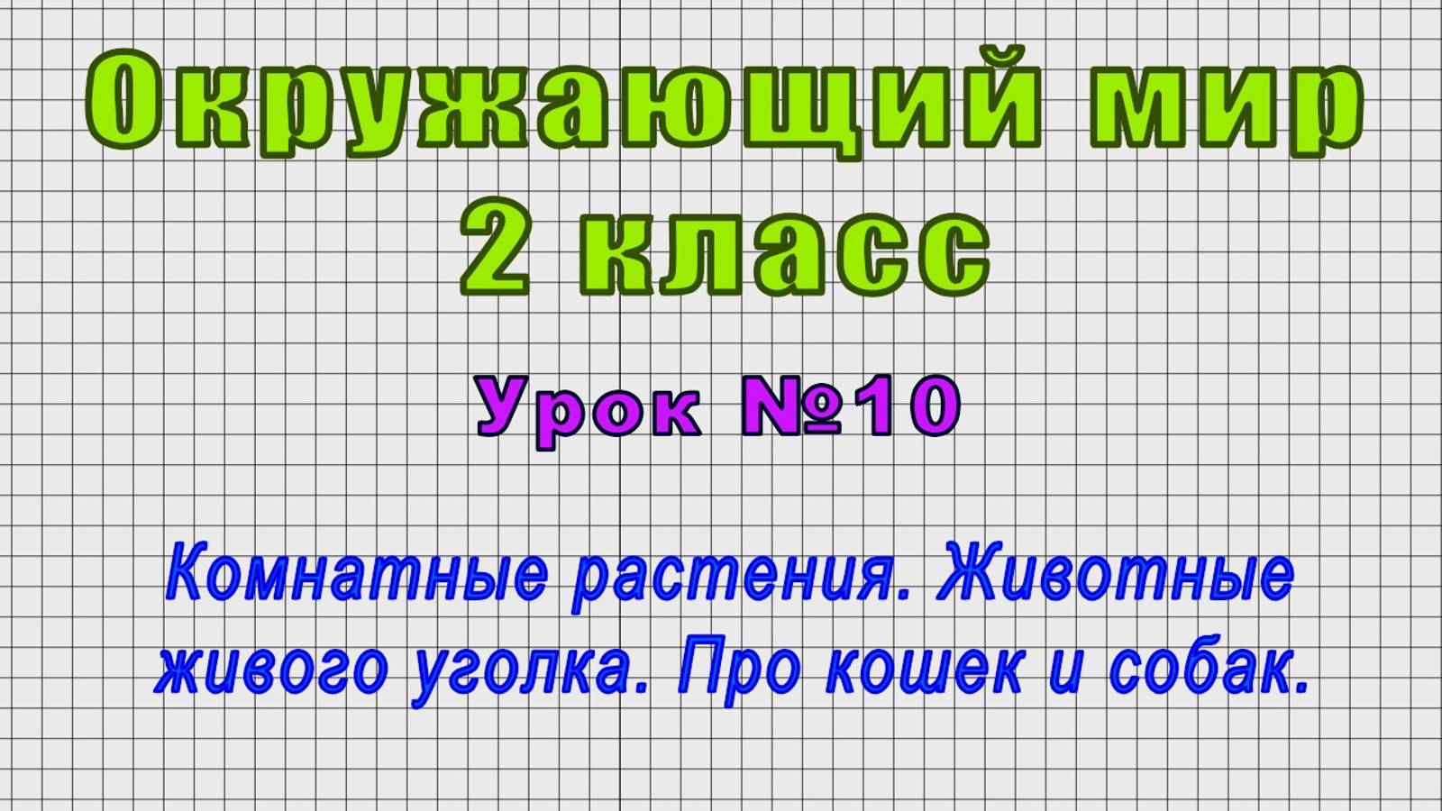 Окружающий мир 2 класс (Урок№10 - Комнатные растения. Животные живого уголка. Про кошек и собак.) смотреть онлайн