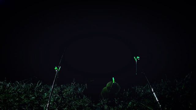 Бешеный клев на гнилой балке. 05.04.25. Краснодарский край. смотреть онлайн