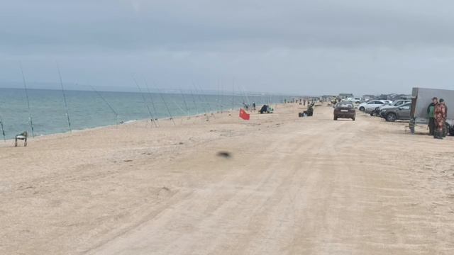 Рыбалка на пеленгаса , Каменка!