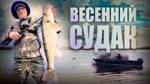 Как найти и поймать судака весной. Рыбалка на Волге в апреле 2024 года.