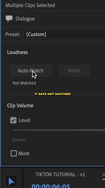 Have You Tried This AUDIO HACK in PREMIERE PRO?! смотреть онлайн