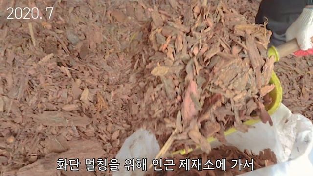 (SUB)허허벌판을 1년동안 정원으로 만든 과정/셀프 정원 만들기 смотреть онлайн