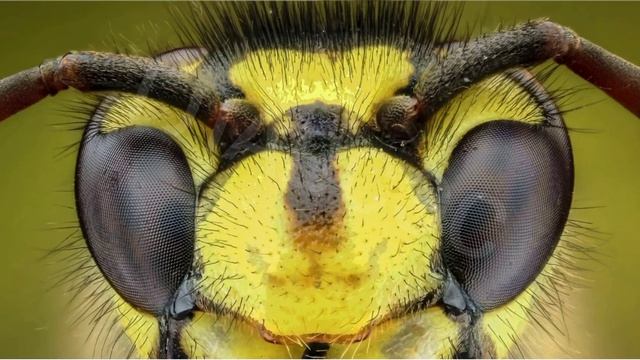 про ос смотреть онлайн