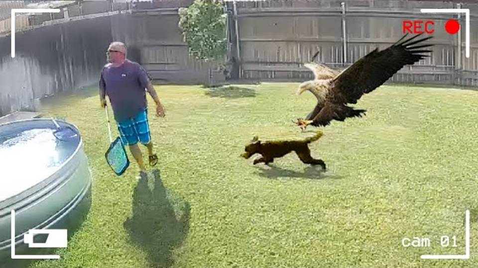 Неожиданные случаи снятые на камеру смотреть онлайн