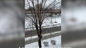 Весна на улице что творится в Москве что творится в Махачкале