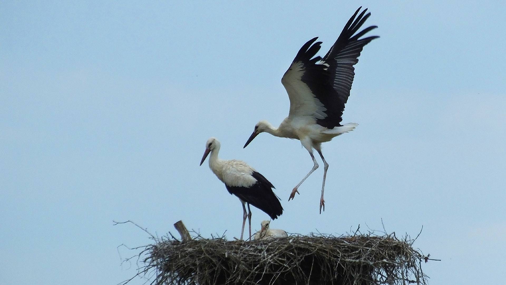 А не рановато?