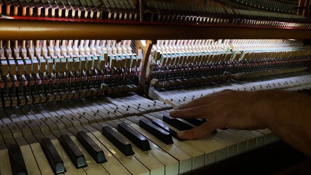 Bu Tepe Pullu Tepe - Musings - Mahir Sayar смотреть онлайн