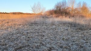 Раскопки 2025г весна выезд 2/ч2