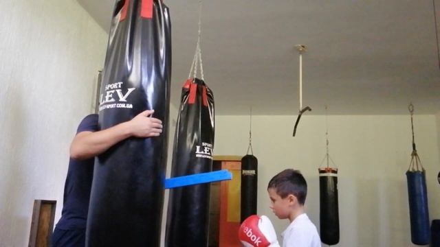 Муха в деле. Наш Никита