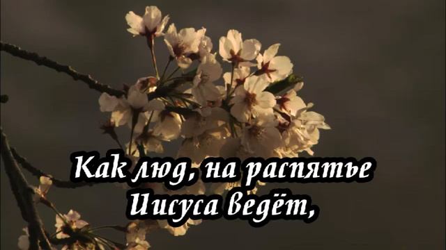 Ксения Лапицкая - Путь на Голгофу далёк смотреть онлайн