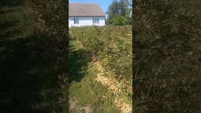 16 мая 2024 г. смотреть онлайн