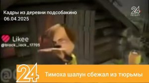 короче новости песбурга с малышом барбоскиным песбург 24 2 й выпуск