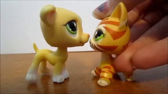 lps mv misery business by : Paramore смотреть онлайн