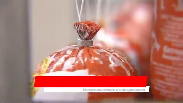 Как устроена Межениновская птицефабрика? смотреть онлайн