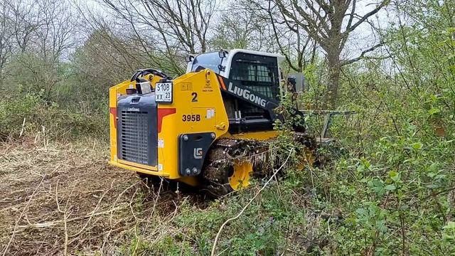 расчистка участка мульчером. Азовская