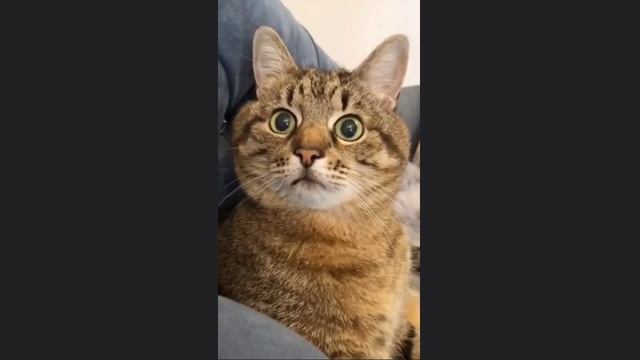 Любовь похожая на сон смотреть онлайн