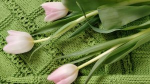 Ох, если бы не блогерство....