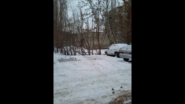 про ворон смотреть онлайн