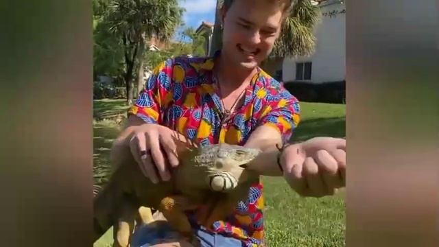 🐲🐲 iguana Bite my Hand 😱😱 Dangerous iguana l Reptiles 🐍🐲 😱 #shorts #short l viral video смотреть онлайн