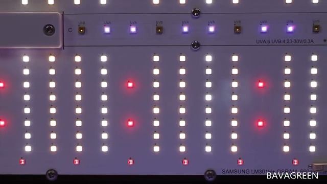 10V Dimming LED Grow Lights SAMSUNG LM301B LM301H 720W With UVB Light смотреть онлайн