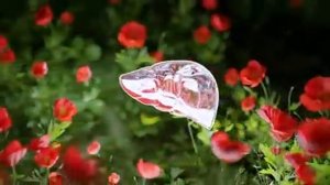 07-04-2025 Мощное очищение и регенирация печени