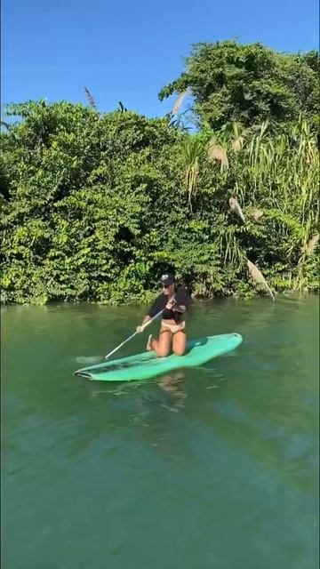 Катание на паддл или сапах бордах в Доминикане #shorts #доминикана