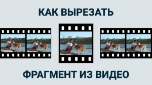 Не знаешь, как Вырезать Фрагмент из Видео? Смотри и Повторяй! 👀✂️