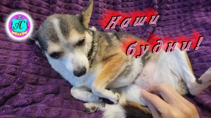 #Абхазия!🌴Сухум. Каштак. Гостевой Дом "АлиСер".❤🌹Наши будни! Из архива!