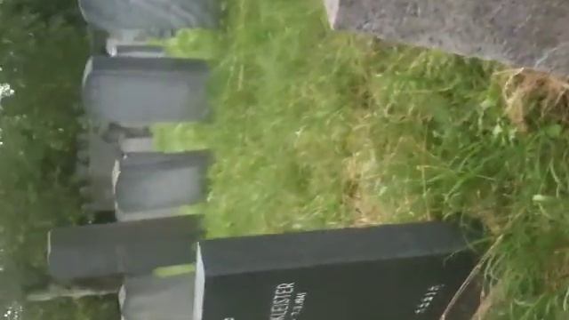 Kadish at Grandfather' grave in Viena смотреть онлайн