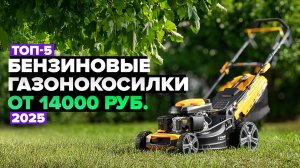 ТОП-5: Лучшие бензиновые газонокосилки ✅ Рейтинг 2025 года