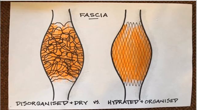 Myofascial Release: The Pain Solution смотреть онлайн