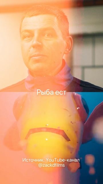 Шок! Всегда проверяйте ЭТО когда когда ешьте рыбу, иначе... #рыба #рыбы #паразиты #узв #бизнес смотреть онлайн