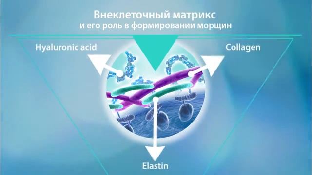 Faberlic 14 генов красоты смотреть онлайн