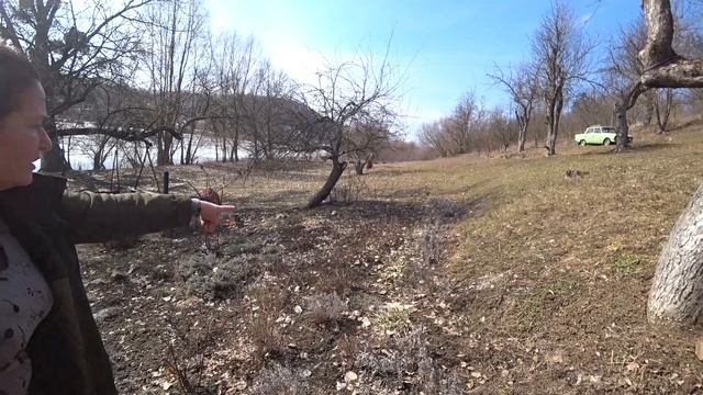 ОЗАБОЧЕННЫЙ КОТ ) смотреть онлайн
