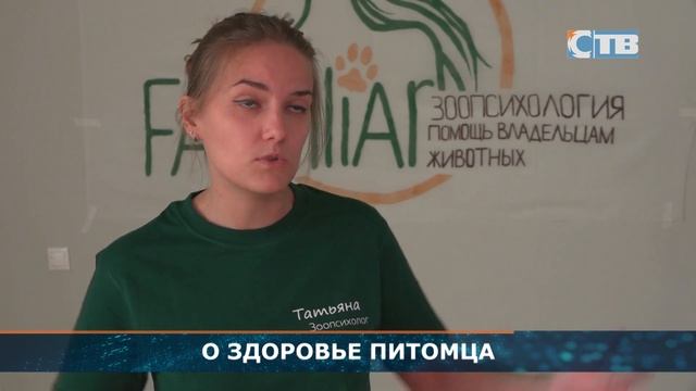 22.07.2024 Семинар для владельцев животных «Он какой-то не такой». смотреть онлайн