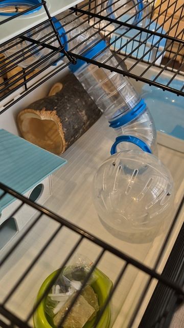 клетка для хомяка