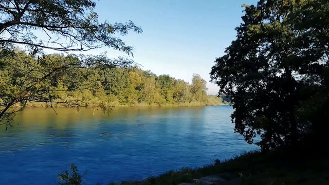 Пение птиц, звуки природы, для сна, релаксации, Медитации смотреть онлайн