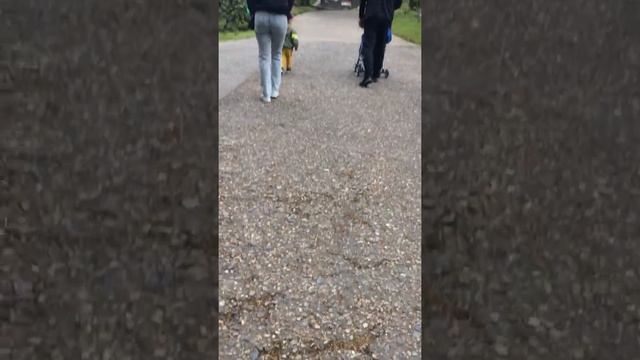 Парк Дендрарий ￼💐🌾🌳🍀🌴(1 часть) смотреть онлайн