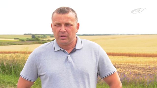 Особливості збиральної кампанії 2020 в ТОВ «Березино», с Червоний Кут смотреть онлайн