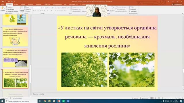 Рослина, живий організм. Дихання. Фотосинтез смотреть онлайн