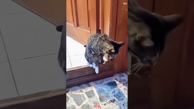 Да удобно мне так! Удобно! смотреть онлайн
