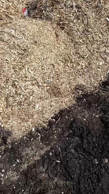 Щепа для голубики, высший сорт!!!