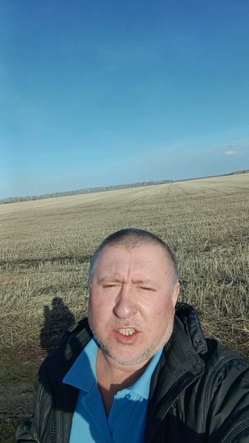 русское поле.mp4 смотреть онлайн