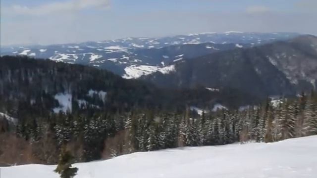 Zahar Berkut march2012 смотреть онлайн