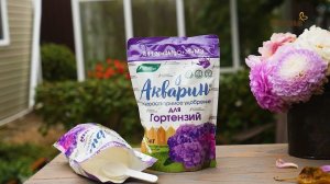 «Акварин» для гортензий. Фрагмент программы канала «Загородный».