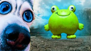 ЖРЁМ ГИГАНТСКИХ АДЫГЕЙСКИХ ЛЯГУШЕК!! Путешествие с караваном COOL DOGS