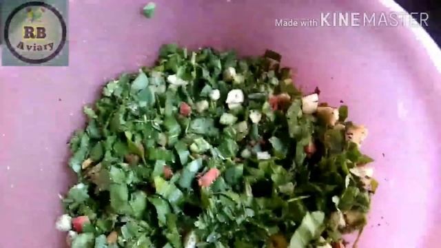 Love Bird or Dosry Bird ka ly badlty Mosam ki Sofit Food смотреть онлайн