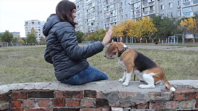 ПОПРОБУЙ НЕ ПРОСЛЕЗИТЬСЯ | ДЕТИ О СВОИХ ПИТОМЦАХ смотреть онлайн