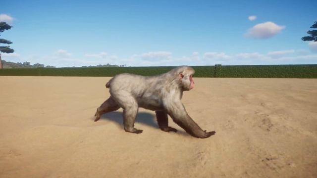 Planet Zoo (2024) All Animals Race Showcase смотреть онлайн