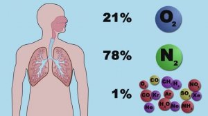 Здоровье пилота - Аэромедицинские факторы
